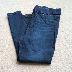 Liverpool Skinny Petite Pull On Jeans Size 16P